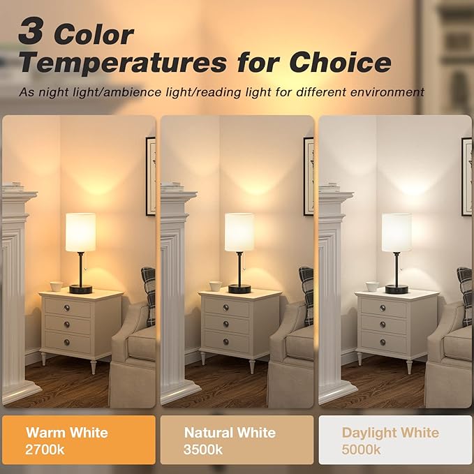 PureGlow 2-in-1 Minimalist Bedside Table Lamp